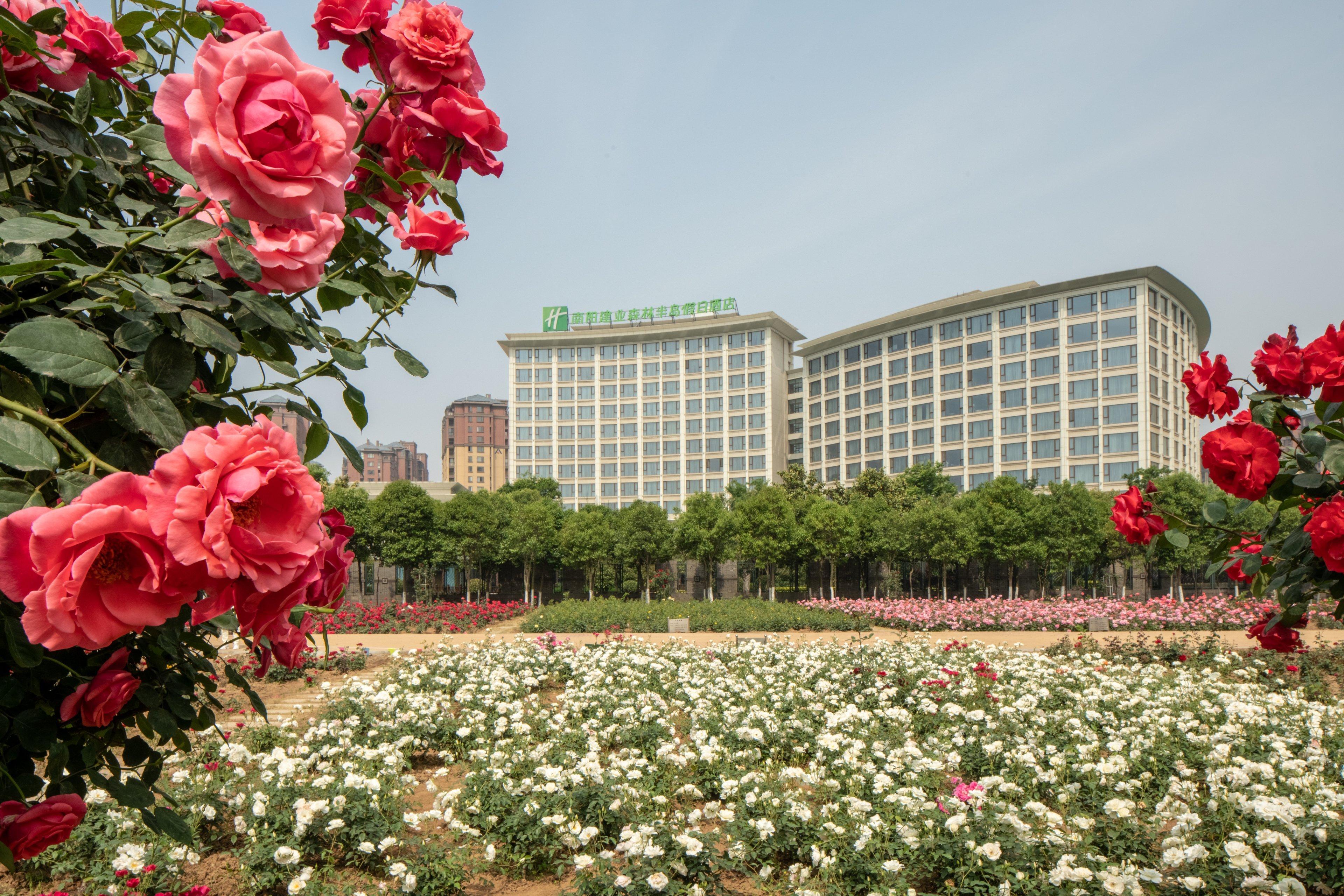 Holiday Inn Nanyang By Ihg Exterior photo